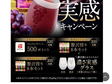 PayPayݥȡ8ܥåȡꥪꥸʥǻ´饹