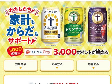 ٤Pay 3,000ݥ