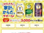 ٤Pay 3,000ݥ