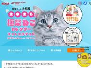 極楽ねこカレンダーフォトコンテスト2026