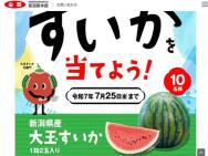 ˤʪ Ƥ褦ڡ󡡿㸩̤10̾