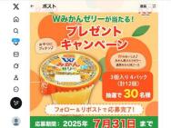 ĥ饯Xץ쥼ȥڡWߤ󥼥꡼(34ѥå)30̾