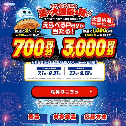 ٤Pay 700ʬ٤Pay 3,000ʬ