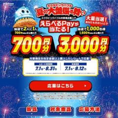 ӥ󥰥Х֥Ƥ׿񤤥ڡ󡡤٤Pay 700ʬ٤Pay 3,000ʬ
