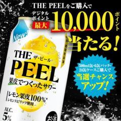 THE PEELפ٤Pay롪ڡγ