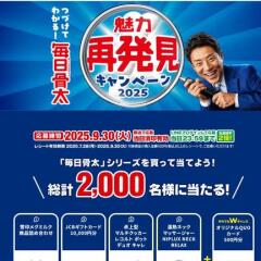 ̥Ϻȯڡ2025ᥰߥ륯ʵͤ碌ꥸʥQUO 500ʬ ʤɢ2,000̾