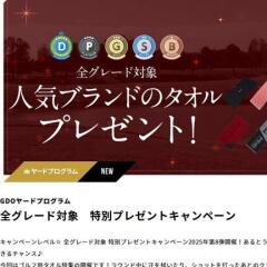 GDO䡼ɥץ७ڡ󡡥 RAIN HOOD 롢ԥ  ʤɢ20̾