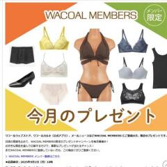 My Wacoal Сץ쥼ȡSan-ai Resortֿ Υ磻䡼סCW-X֥ ݡĥ硼ġ ʤɢ17̾