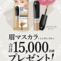 顼󥰥֥ ߥ˥ץץ쥼ȡޥ(ߥ˥ץ)15,000̾