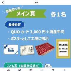 #եԥQUO3,000ʬ񻺵ץ ɮå ʤɢ55̾