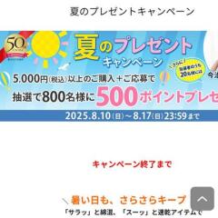 夏のプレゼントキャンペーンの概要