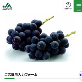JAΤեۡڡ ץ쥼ȥʡξܺ