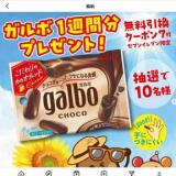 ガルボ1週間分プレゼントキャンペーンの概要