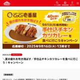 手仕込チキンカツカレーを食べに行こう!キャンペーンの概要