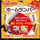 #ホームランバーフライングゲットキャンペーンの概要