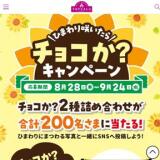 ひまわり咲いたらチョコか?キャンペーンの概要