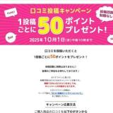 口コミ投稿キャンペーンの概要