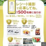 とろ〜り、なめらか そそグルトキャンペーンの概要