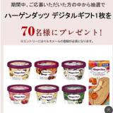 メール登録キャンペーンの概要