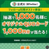1,000円分のQUOカードが当たるキャンペーンの概要