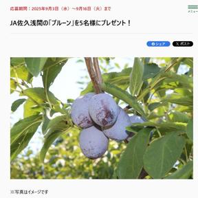 長野県のおいしい!プレゼントの詳細