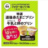 Instagram եͥڡγ