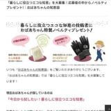 おばあちゃんの知恵袋の概要