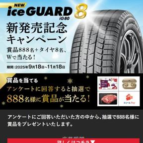 iceGUARD 8 iG80 ȯ䵭ǰڡξܺ