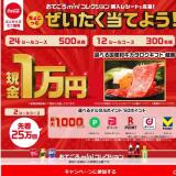 ミニサイズを買ってちょこっとぜいたくキャンペーンの概要