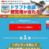 直球！ファイトエールキャンペーンの概要