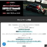 観戦チケットプレゼントキャンペーンの概要