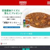 HPˬPRESENTγ