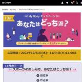 ʤϤɤäɡMy Sonyڡγ