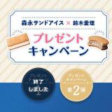 森永サンドアイスプレゼントキャンペーン 第2弾の概要