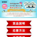 Instagramフォロー&いいねキャンペーンの概要