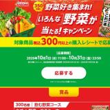 カゴメ 野菜好き集まれ!いろんな野菜が当たる!キャンペーンの概要