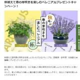 秋植えて春の芽吹きを楽しむペレニアルプレゼントキャンペーンの概要