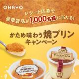 かため味わう焼プリンキャンペーンの概要