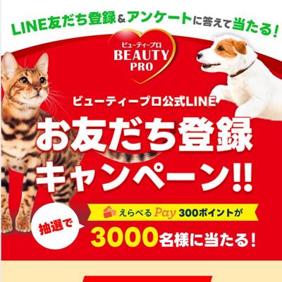 ӥ塼ƥץLINEͧϿڡξܺ