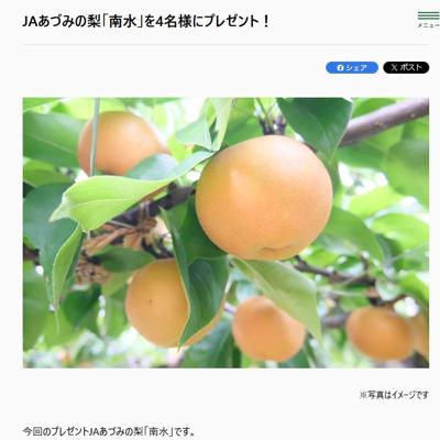 長野県のおいしい!プレゼントの詳細