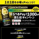 キリン メッツ ジ・エナジー新発売記念!の概要