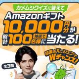 カメムシクイズキャンペーンの概要