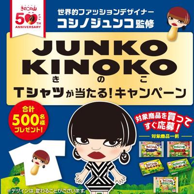 JUNKO KINOKOTġפ륭ڡξܺ