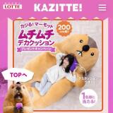 KAZITTE!新発売Xキャンペーン第2弾の概要