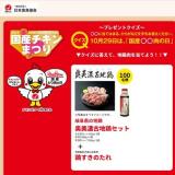 国産チキンまつり2025の概要
