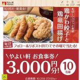 鶏皮餃子と鶏竜田揚げの定食発売記念キャンペーンの概要