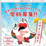 トキのキャラクターの愛称募集の概要