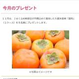 Υץ쥼Ȥγ