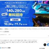 ペアチケット プレゼントキャンペーンの概要