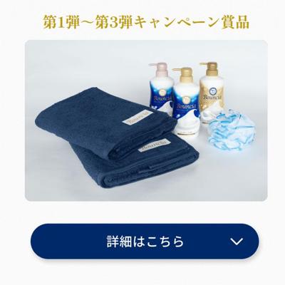 濃厚なるバウンシア王国の詳細